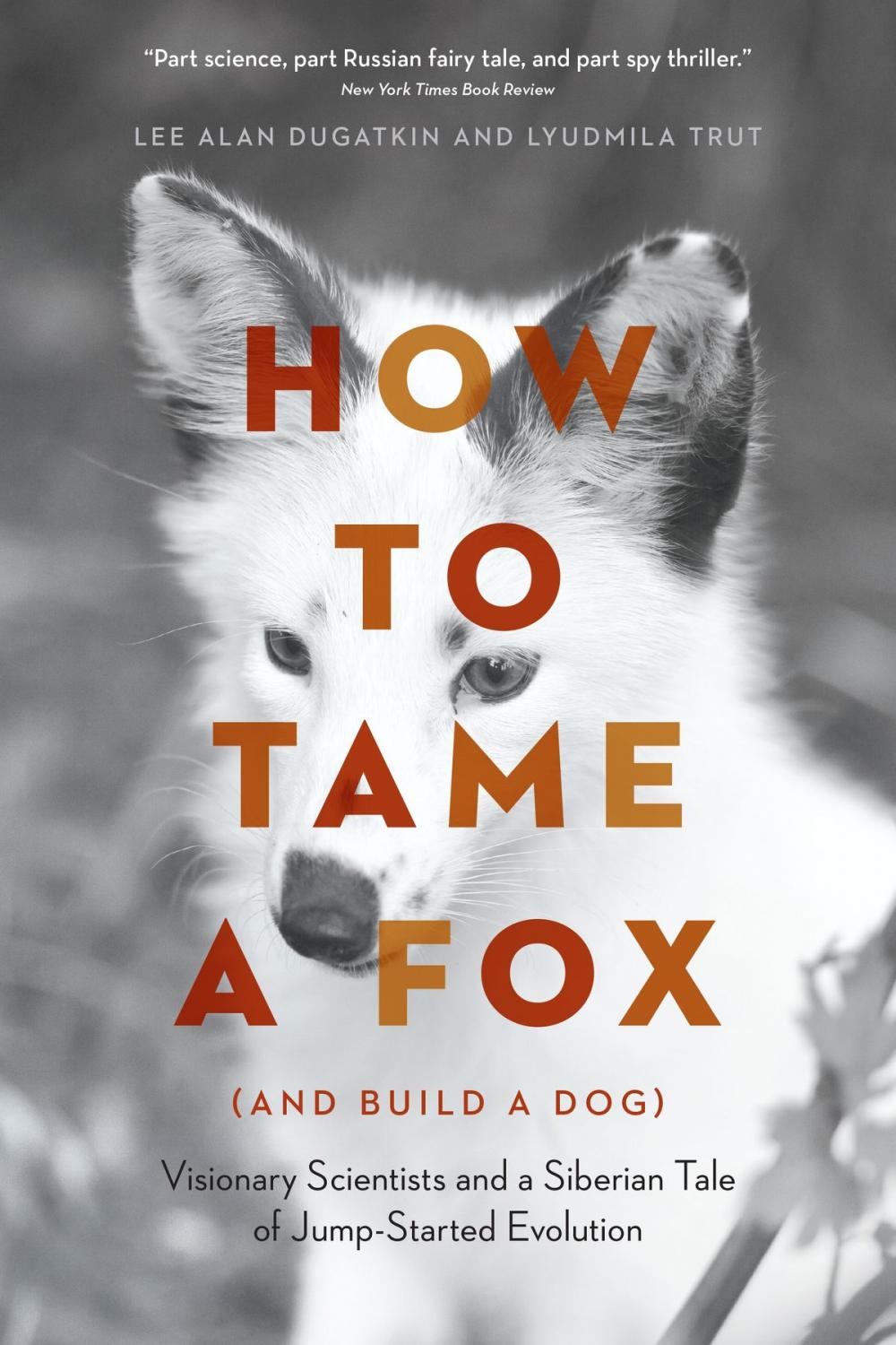 Big bigCover of How to Tame a Fox (and Build a Dog)