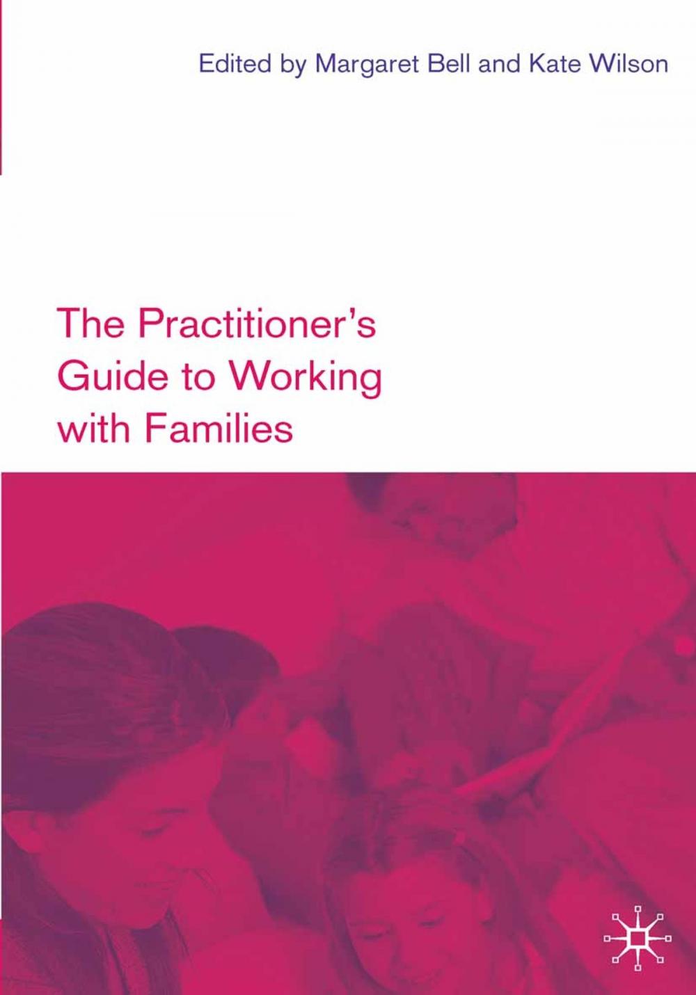 Big bigCover of The Practitioner's Guide to Working with Families