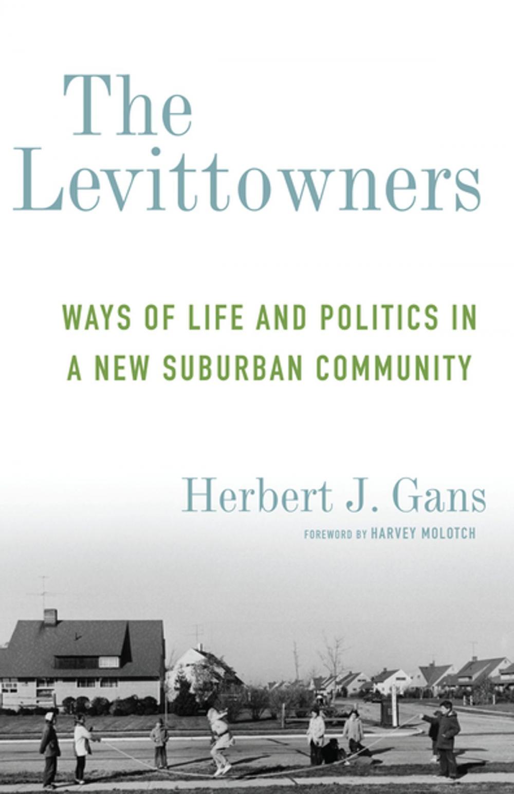 Big bigCover of The Levittowners