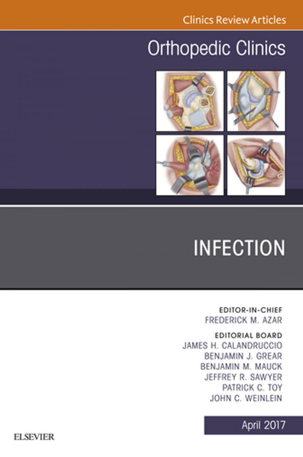 Big bigCover of Infection, An Issue of Orthopedic Clinics, E-Book