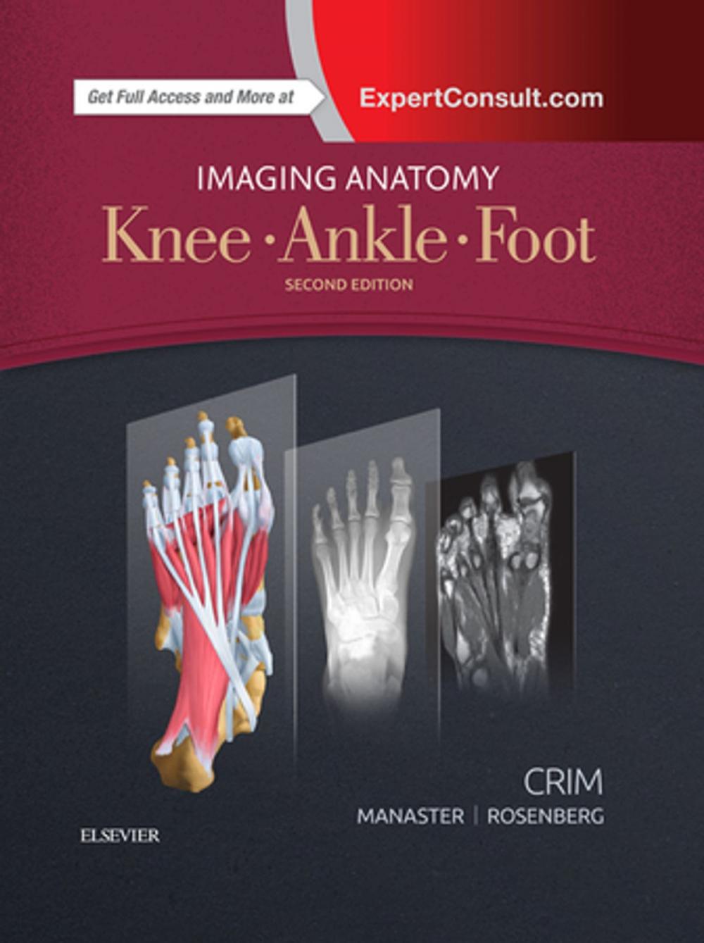 Big bigCover of Imaging Anatomy: Knee, Ankle, Foot E-Book