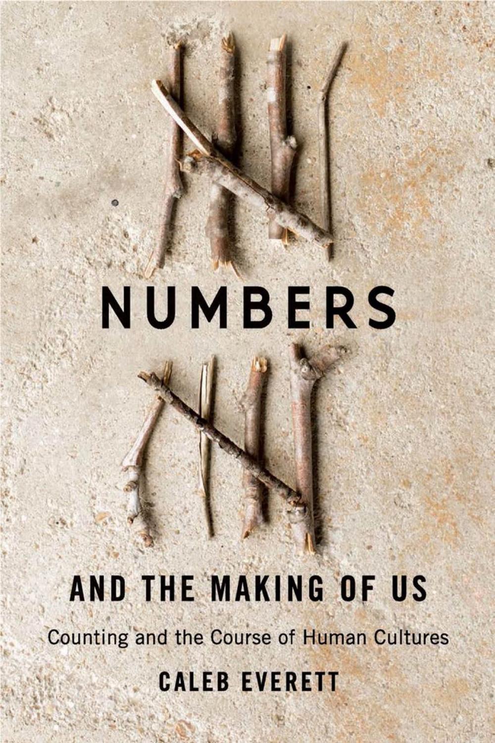 Big bigCover of Numbers and the Making of Us