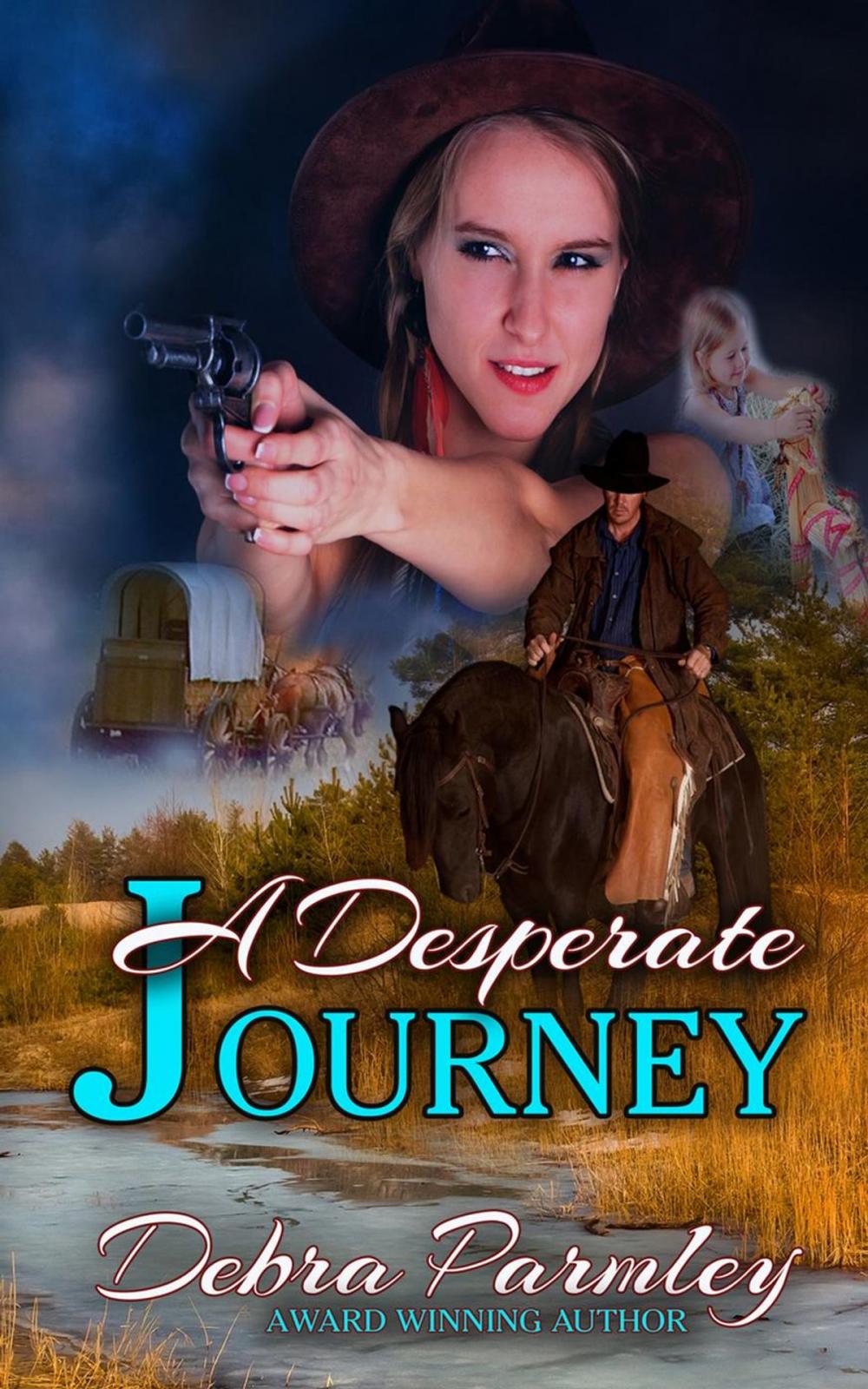 Big bigCover of A Desperate Journey