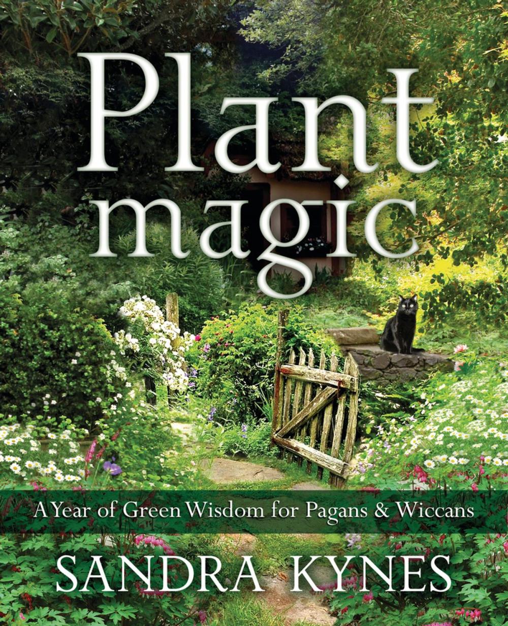 Big bigCover of Plant Magic