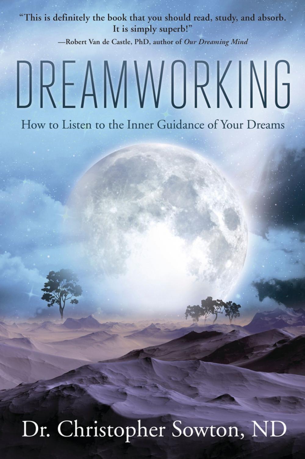 Big bigCover of Dreamworking