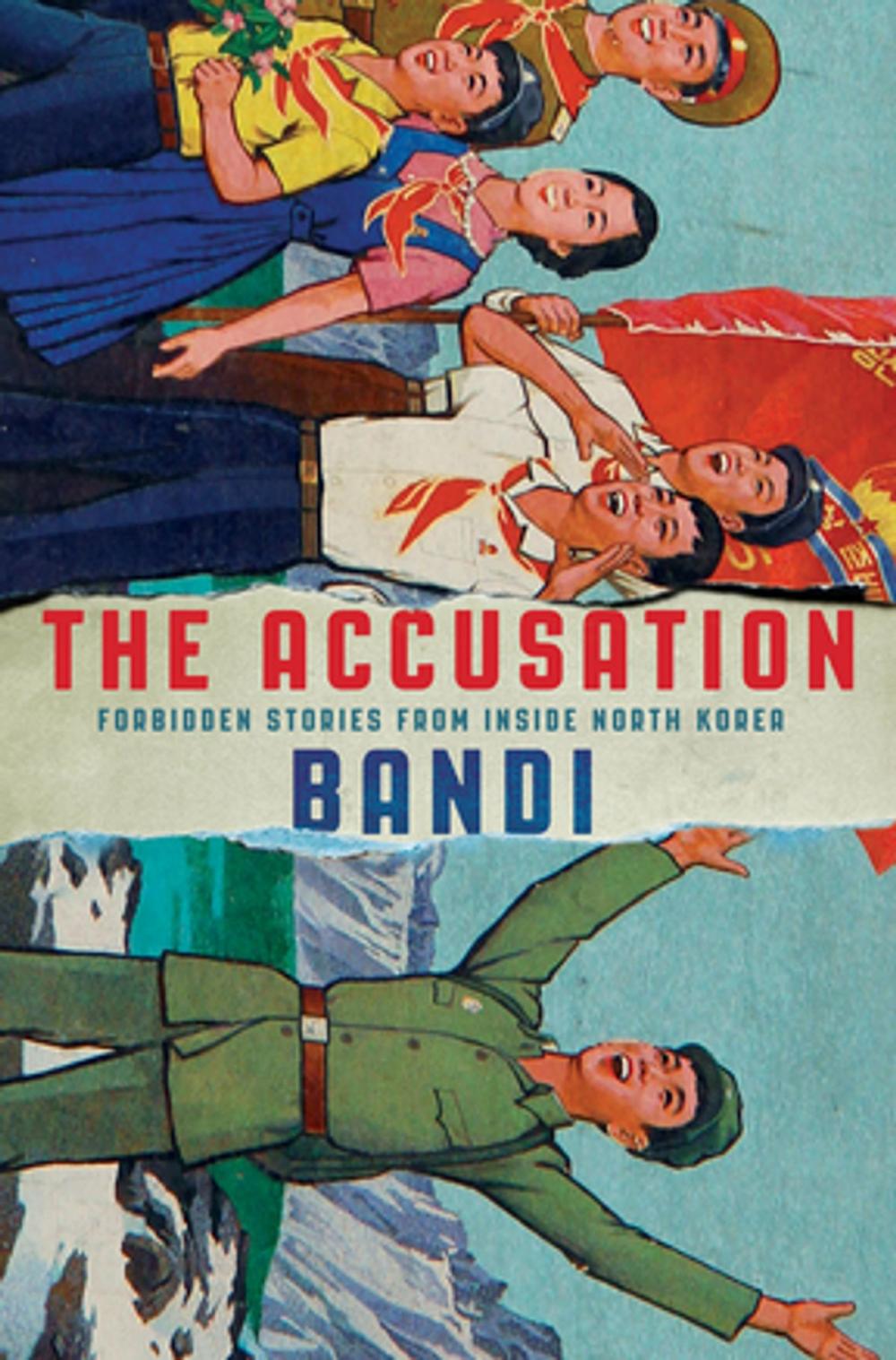 Big bigCover of The Accusation