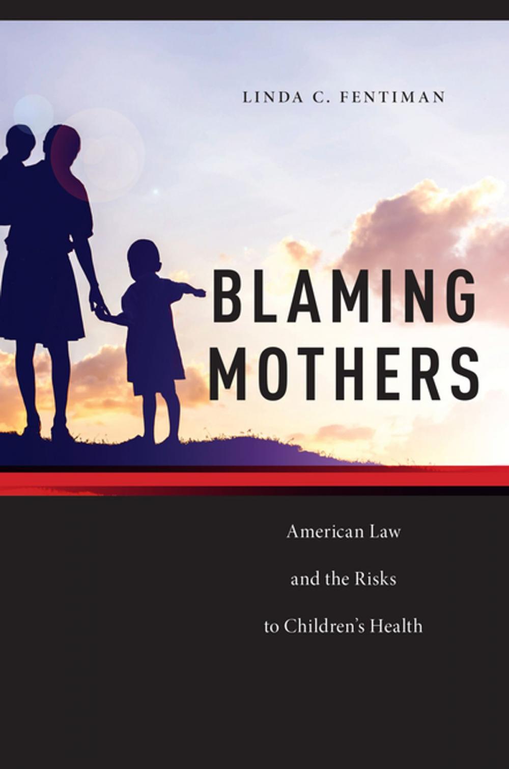 Big bigCover of Blaming Mothers