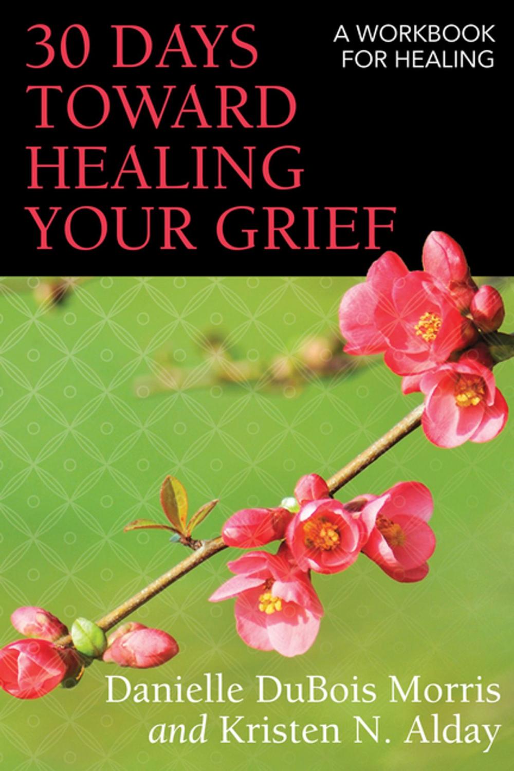 Big bigCover of 30 Days toward Healing Your Grief