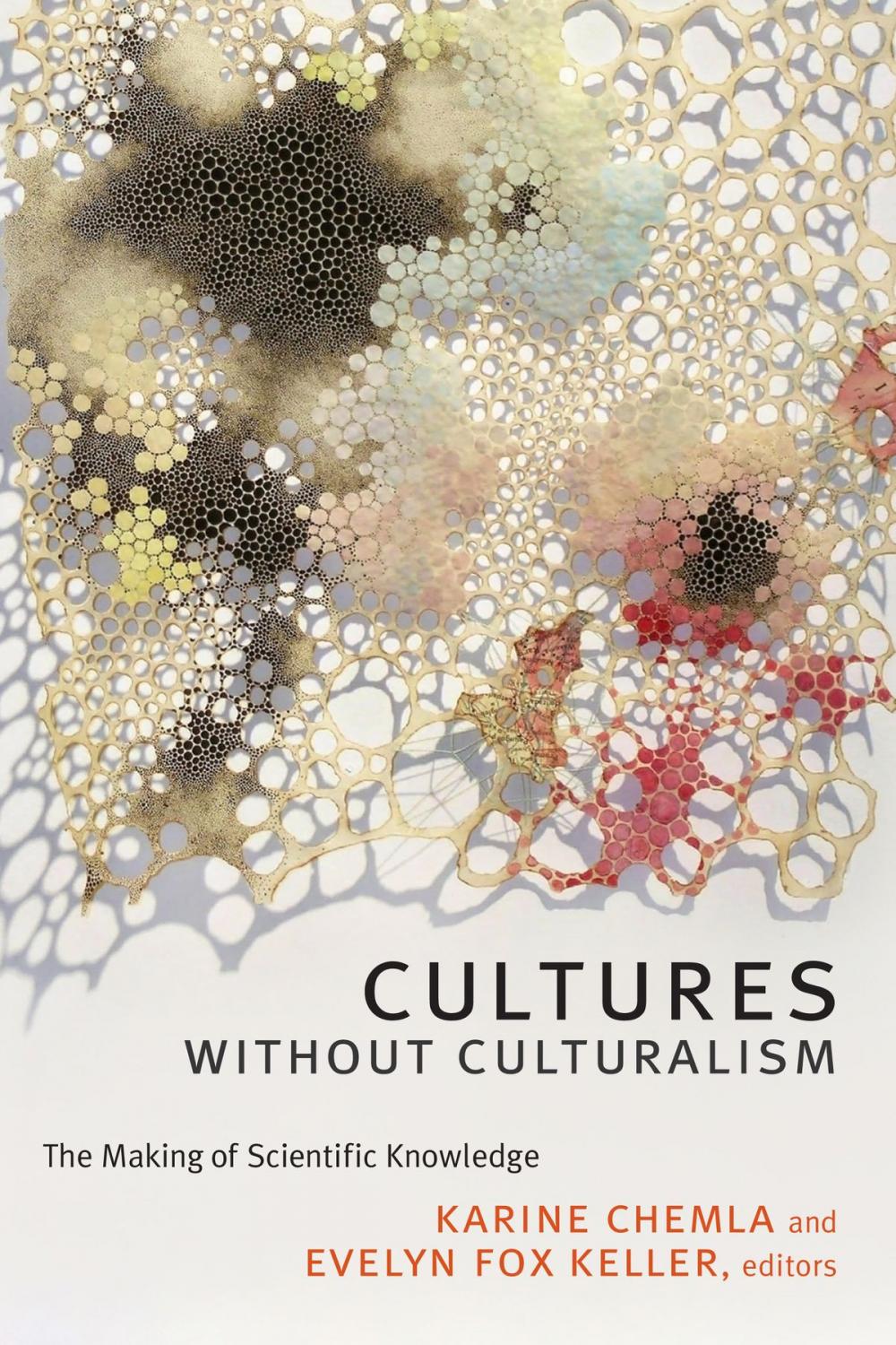 Big bigCover of Cultures without Culturalism