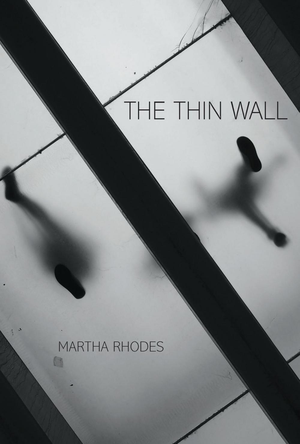 Big bigCover of The Thin Wall