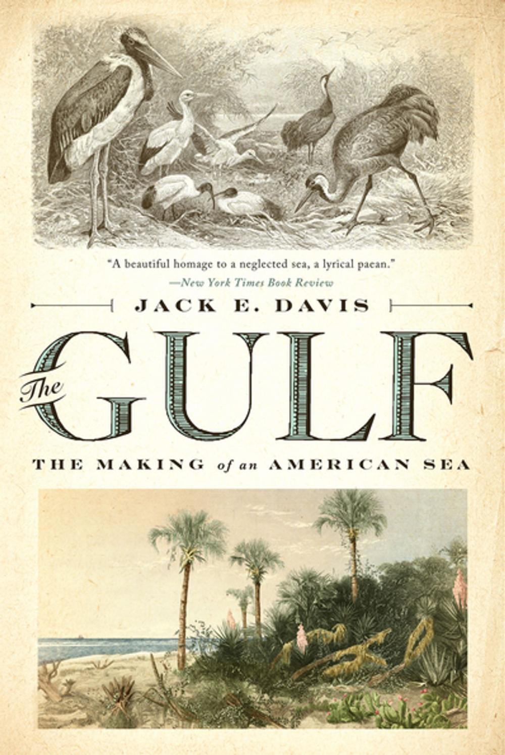 Big bigCover of The Gulf: The Making of An American Sea