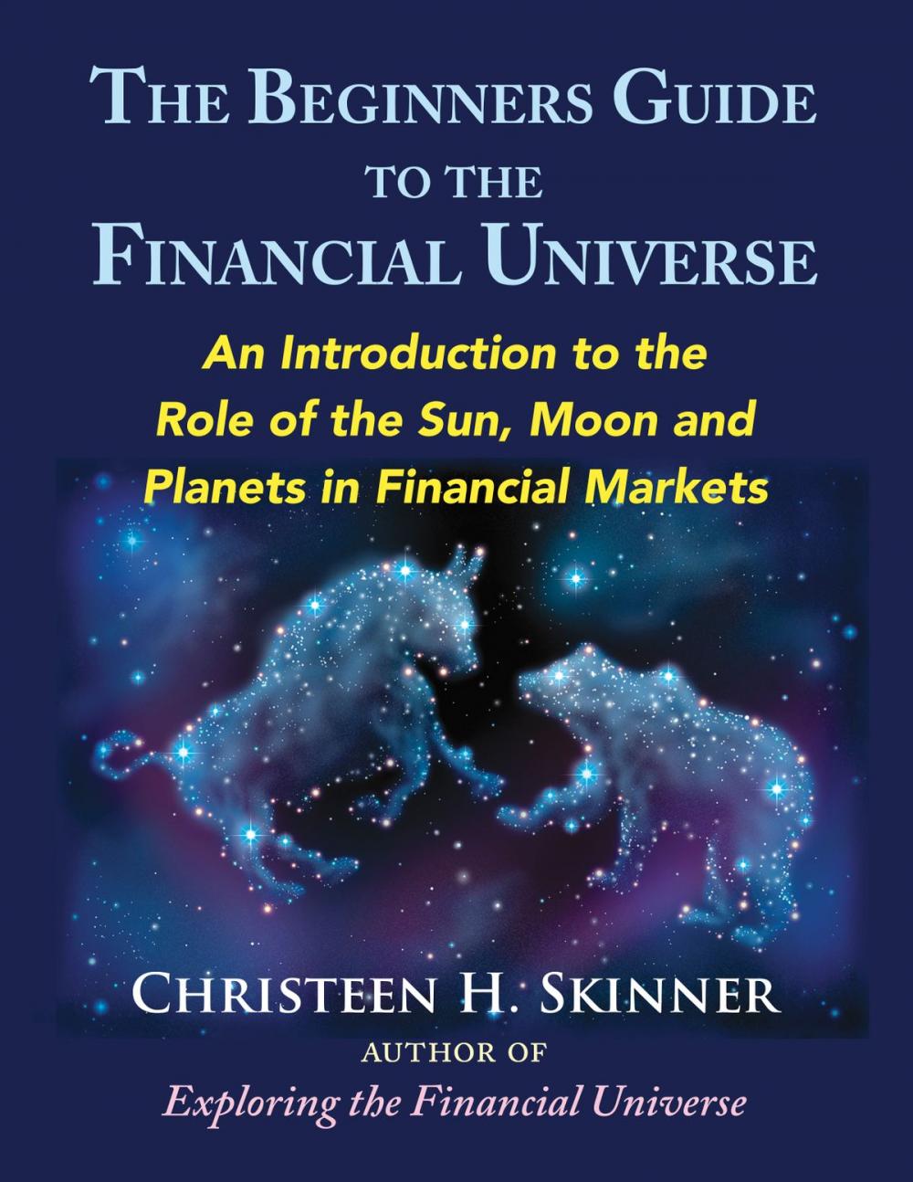 Big bigCover of The Beginners Guide to the Financial Universe