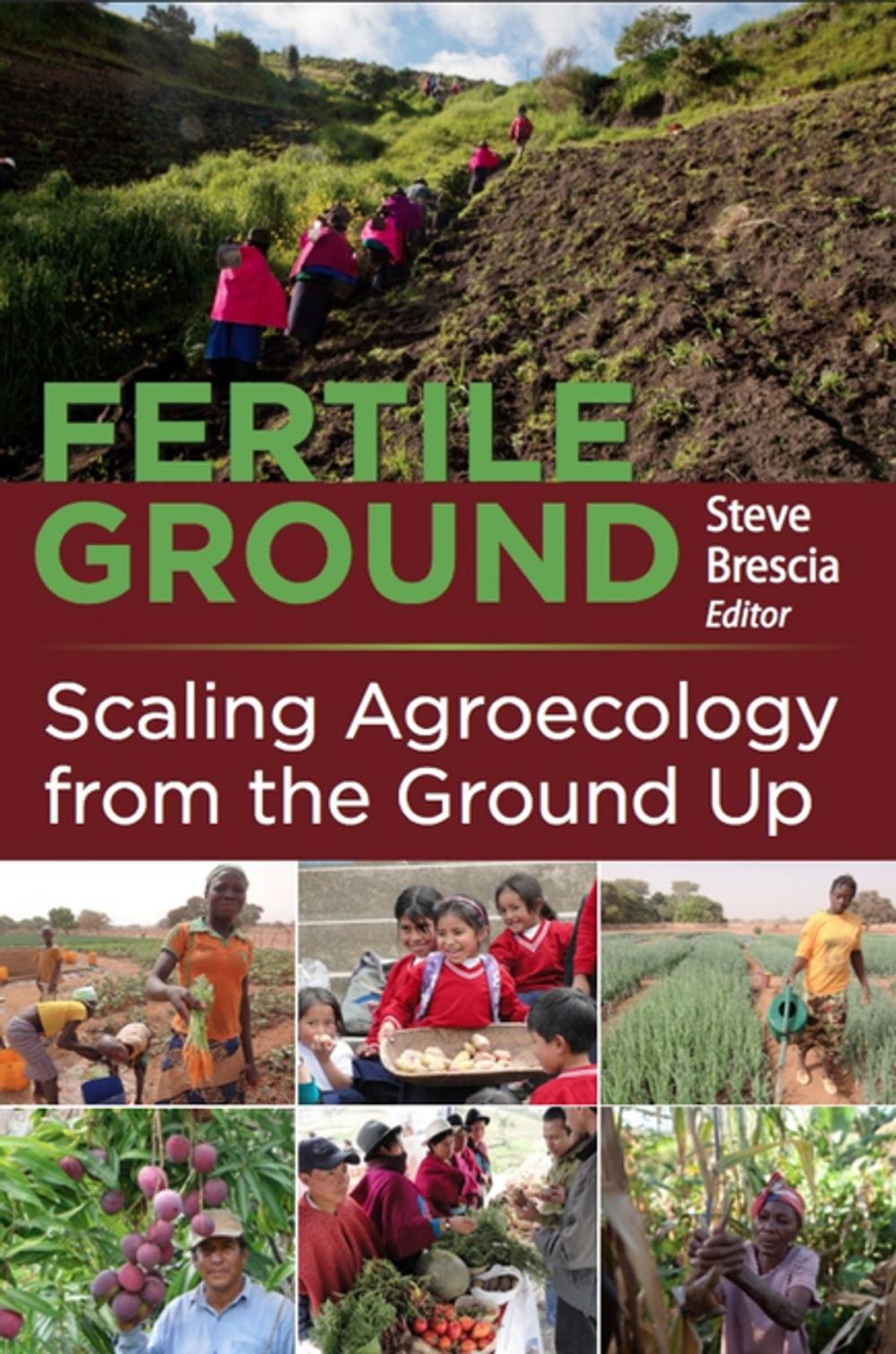 Big bigCover of Fertile Ground: Scaling Agroecology from the Ground Up