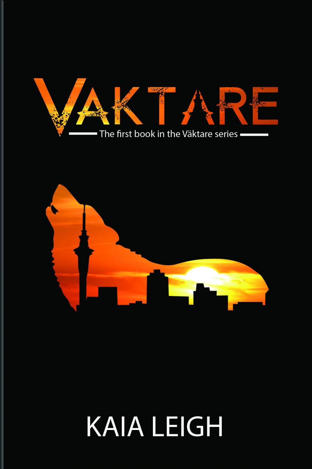 Big bigCover of Väktare