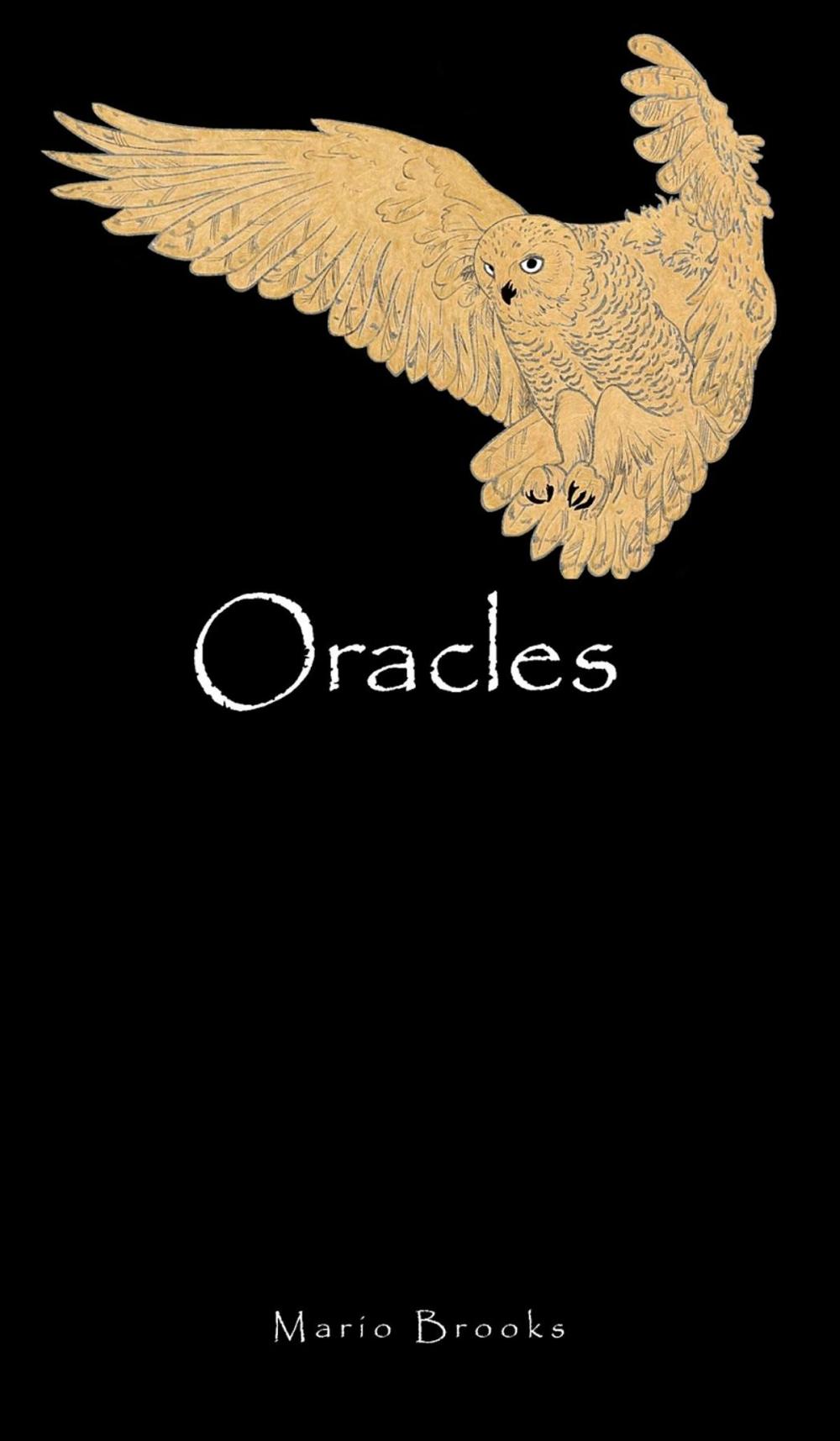 Big bigCover of Oracles