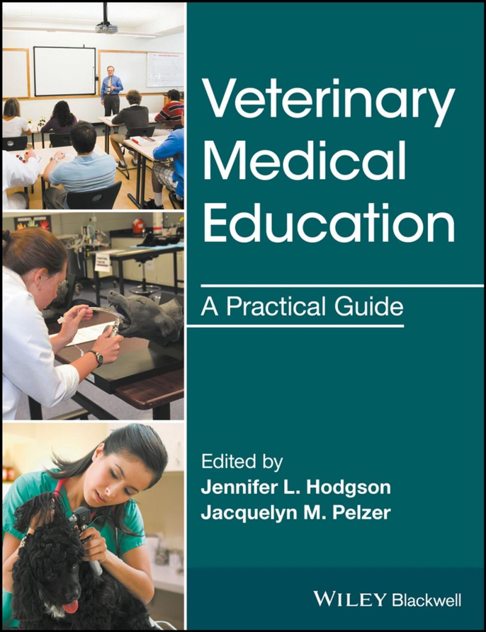 Big bigCover of Veterinary Medical Education