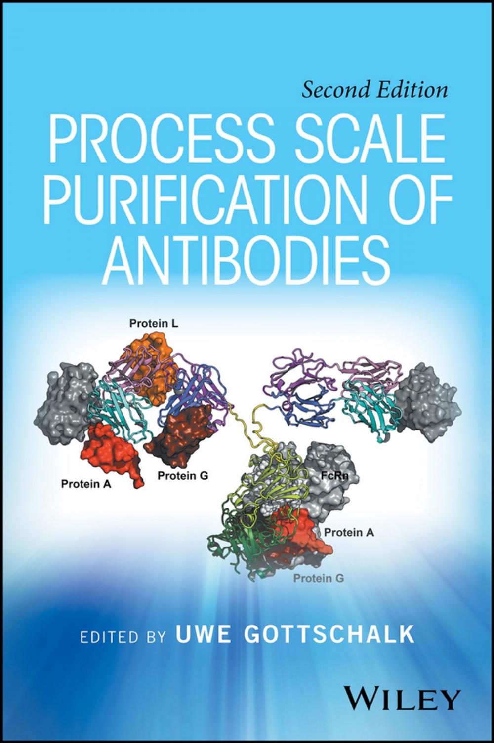 Big bigCover of Process Scale Purification of Antibodies