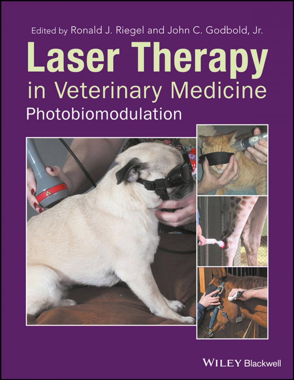 Big bigCover of Laser Therapy in Veterinary Medicine