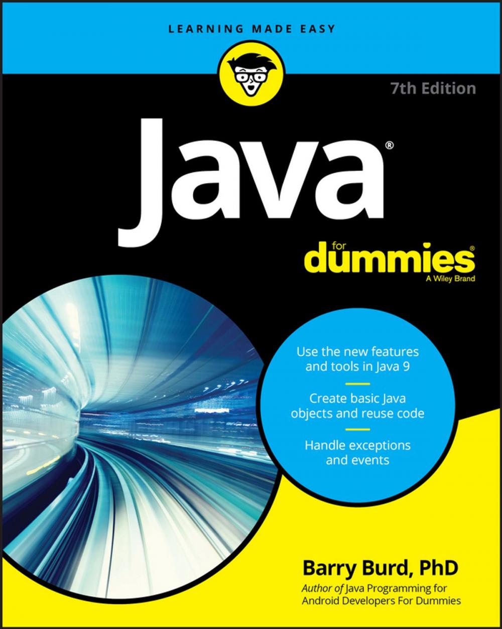 Big bigCover of Java For Dummies