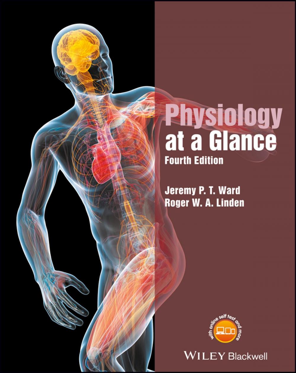 Big bigCover of Physiology at a Glance