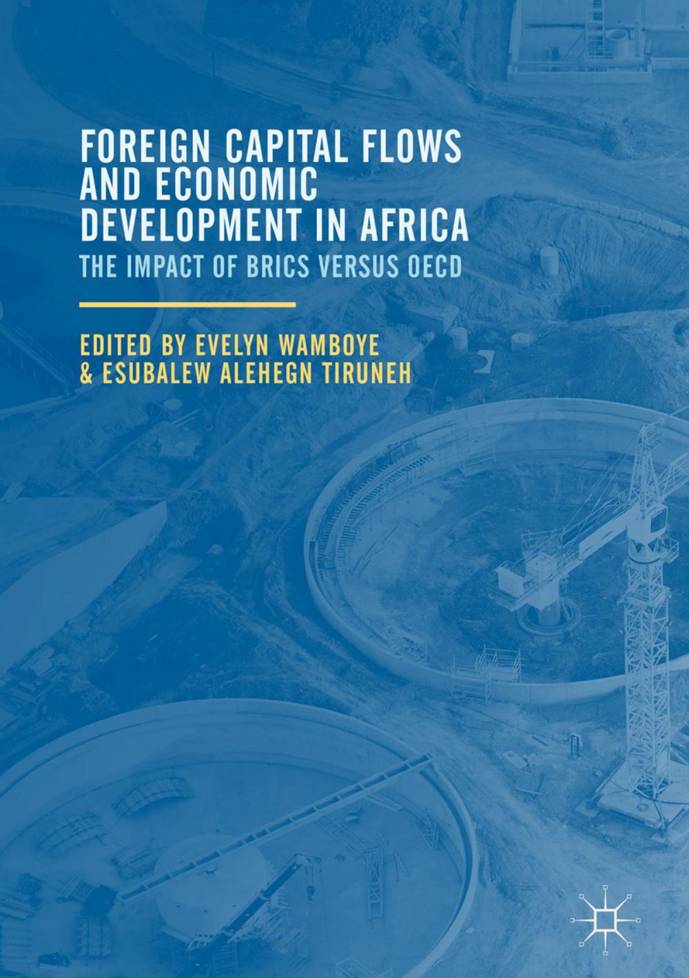 Big bigCover of Foreign Capital Flows and Economic Development in Africa