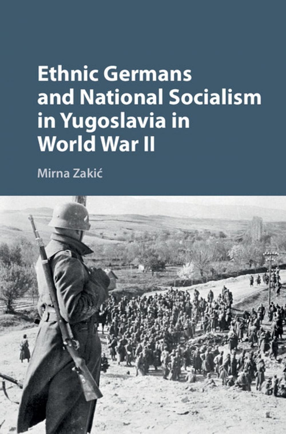 Big bigCover of Ethnic Germans and National Socialism in Yugoslavia in World War II