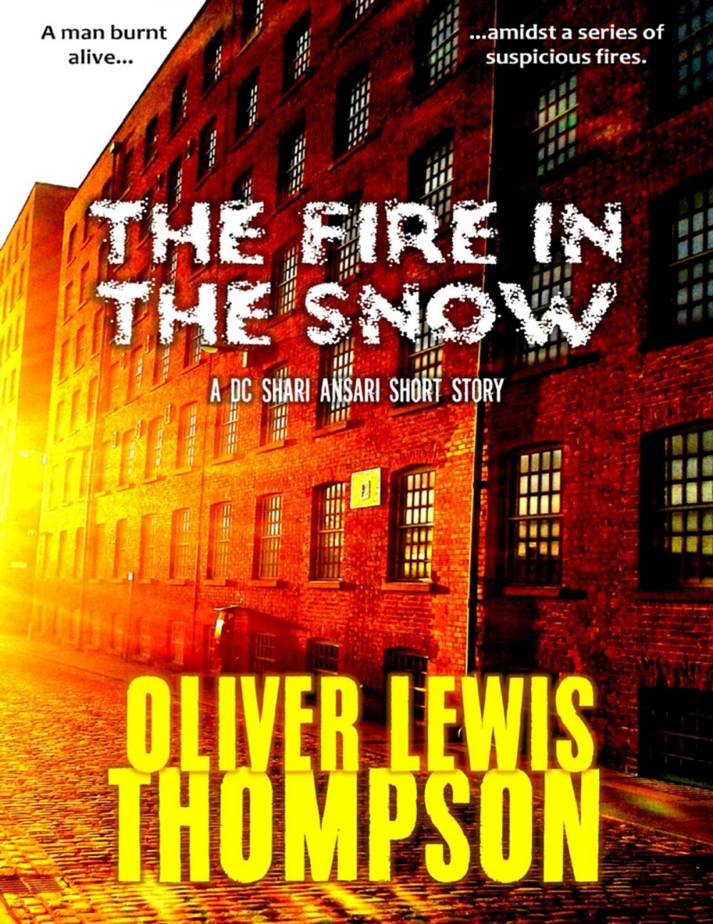 Big bigCover of The Fire In the Snow