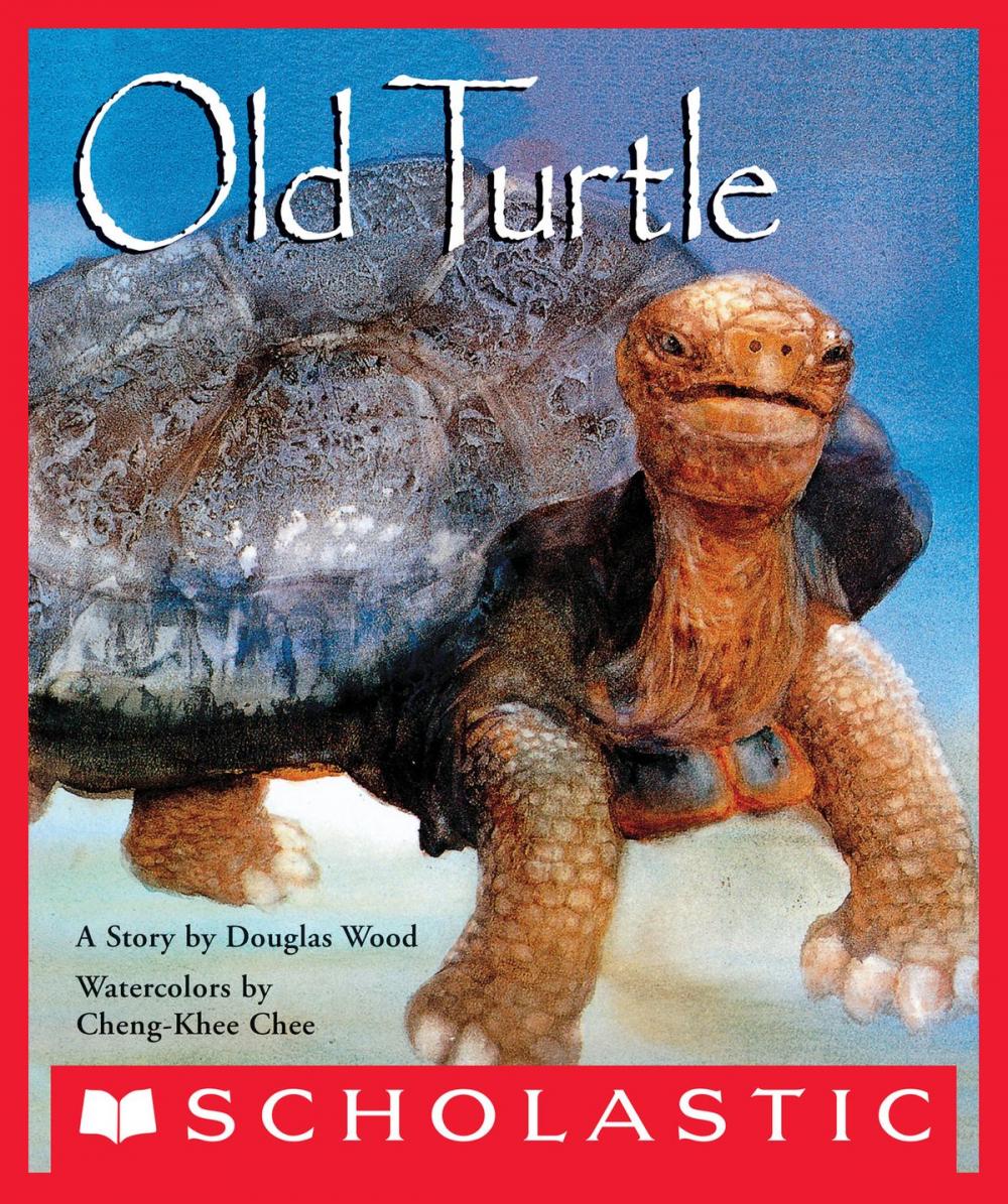 Big bigCover of Old Turtle