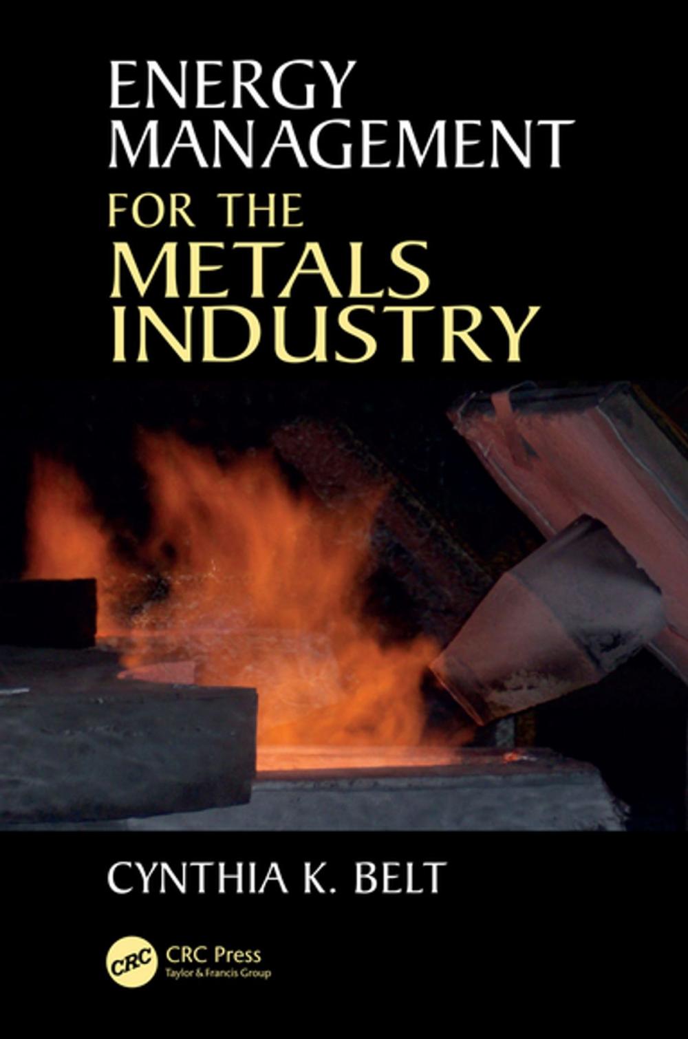 Big bigCover of Energy Management for the Metals Industry