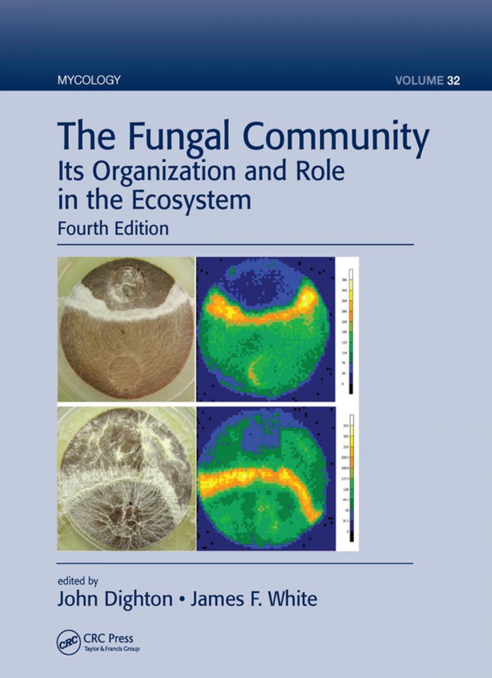 Big bigCover of The Fungal Community