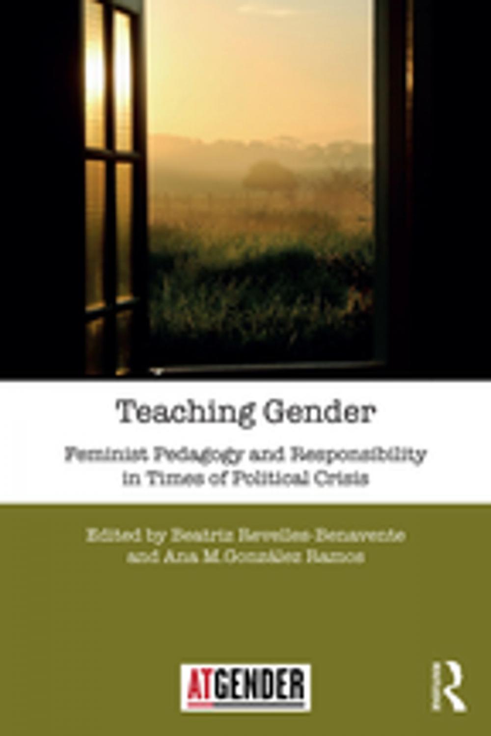 Big bigCover of Teaching Gender