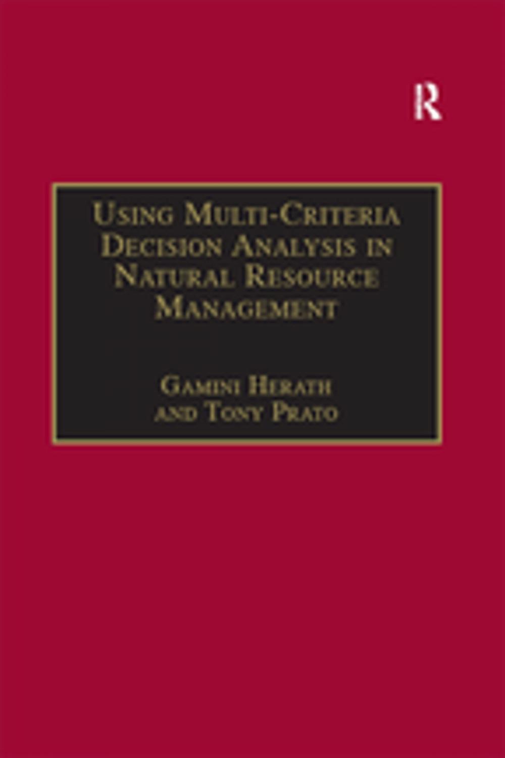 Big bigCover of Using Multi-Criteria Decision Analysis in Natural Resource Management