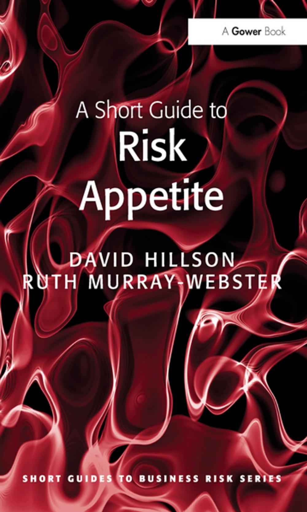 Big bigCover of A Short Guide to Risk Appetite