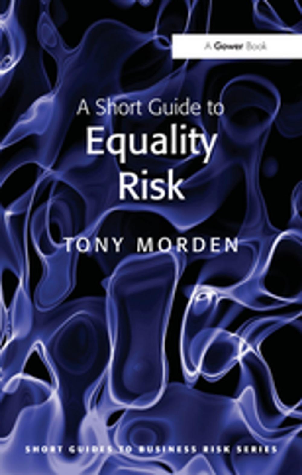 Big bigCover of A Short Guide to Equality Risk