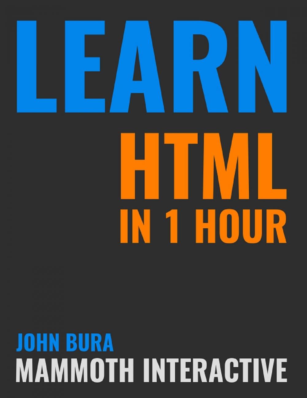 Big bigCover of Learn Html In 1 Hour