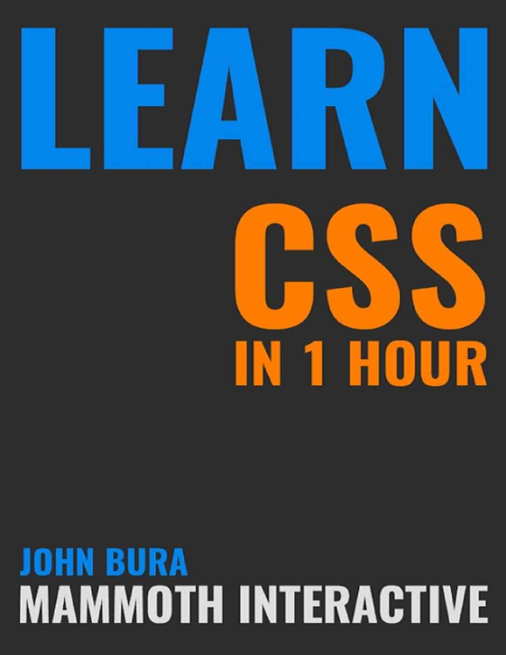 Big bigCover of Learn Css In 1 Hour