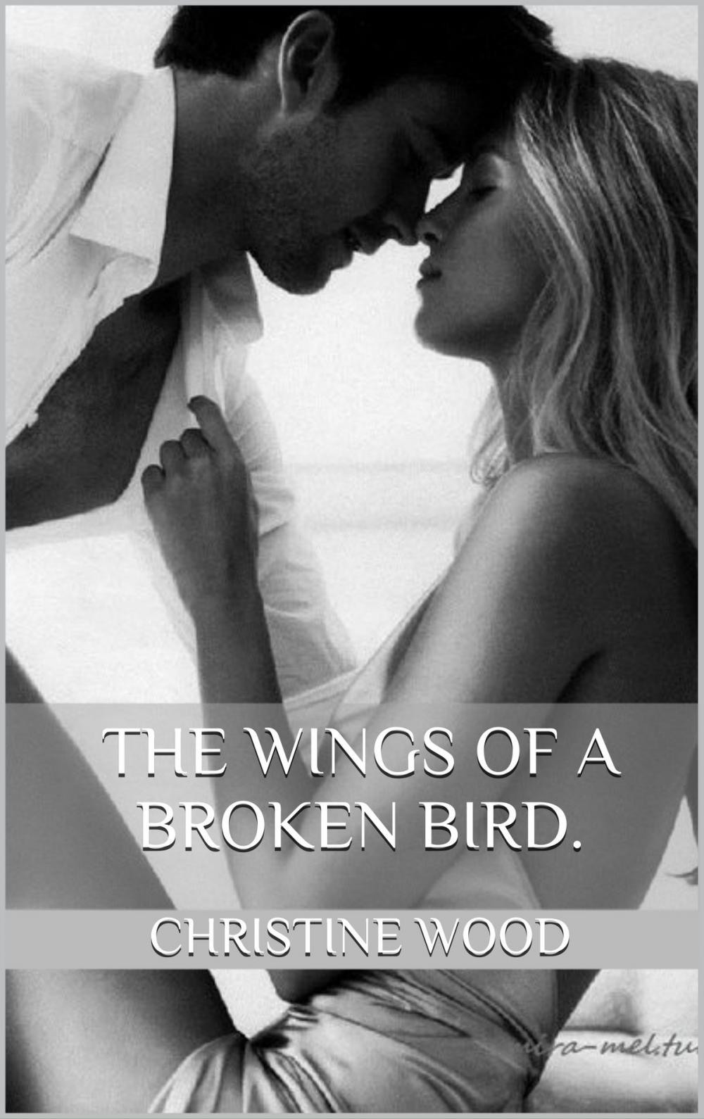 Big bigCover of The Wings of a Broken Bird.