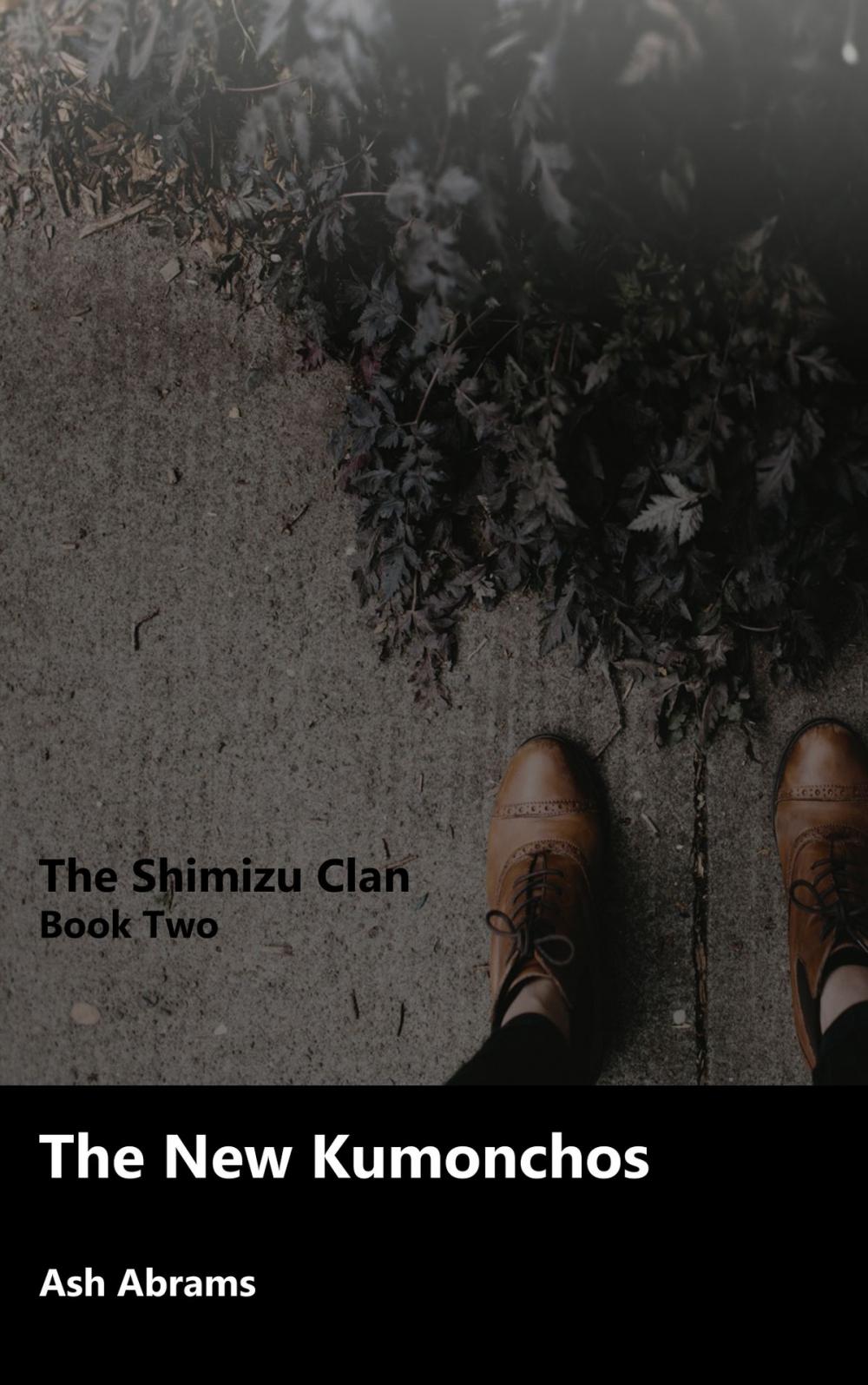 Big bigCover of The Shimizu Book Two: The new Kumonchos