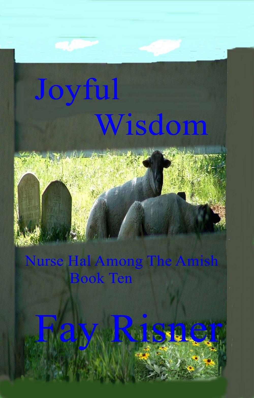 Big bigCover of Joyful Wisdom