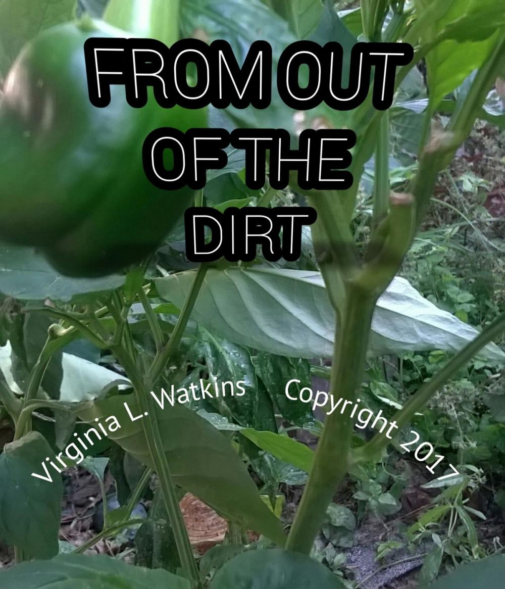 Big bigCover of From Out Of The Dirt