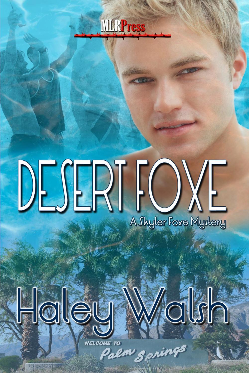 Big bigCover of Desert Foxe