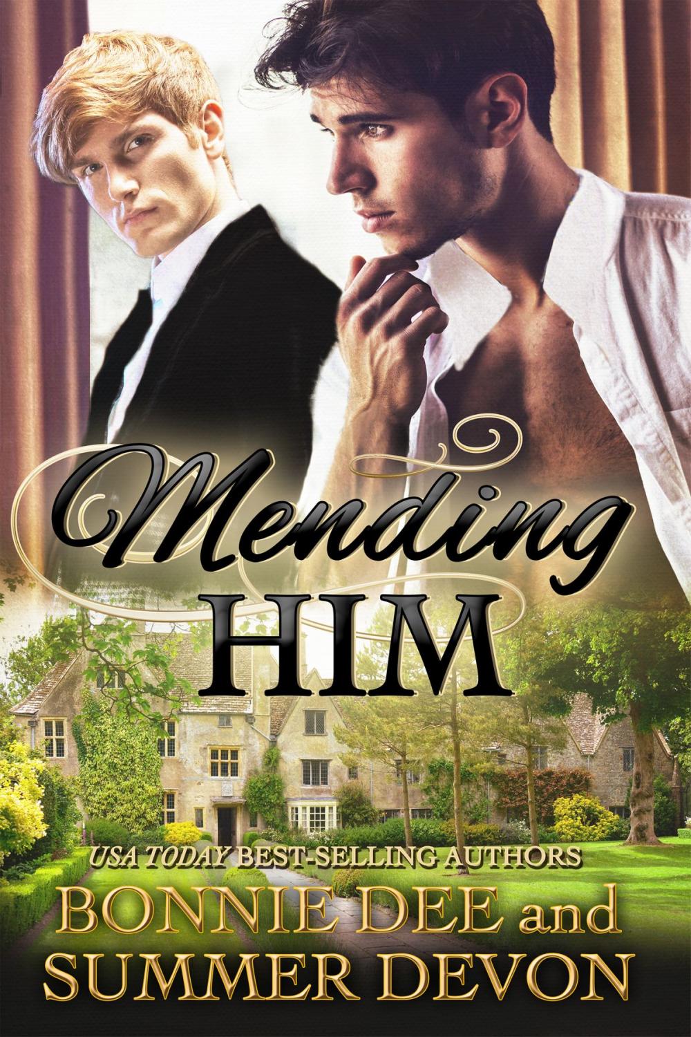 Big bigCover of Mending Him