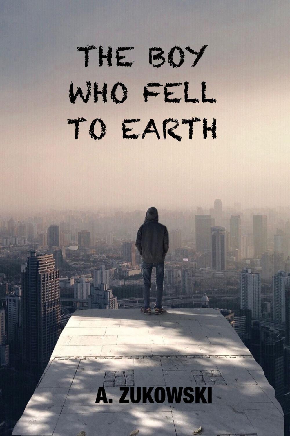 Big bigCover of The Boy Who Fell to Earth