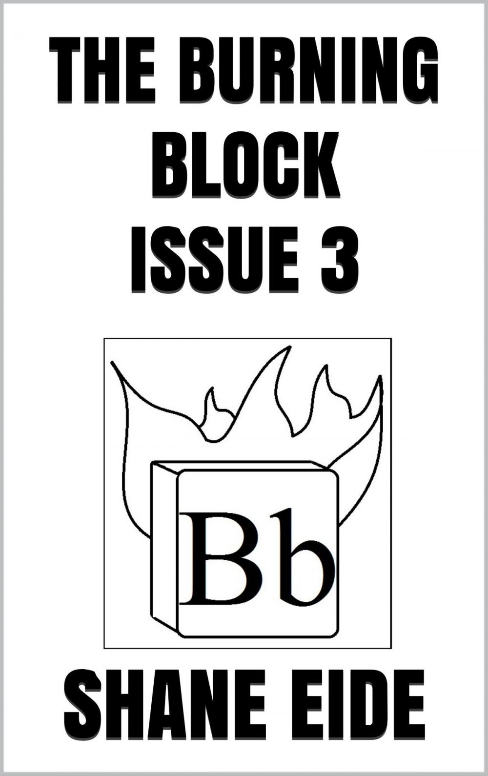 Big bigCover of The Burning Block Issue 3