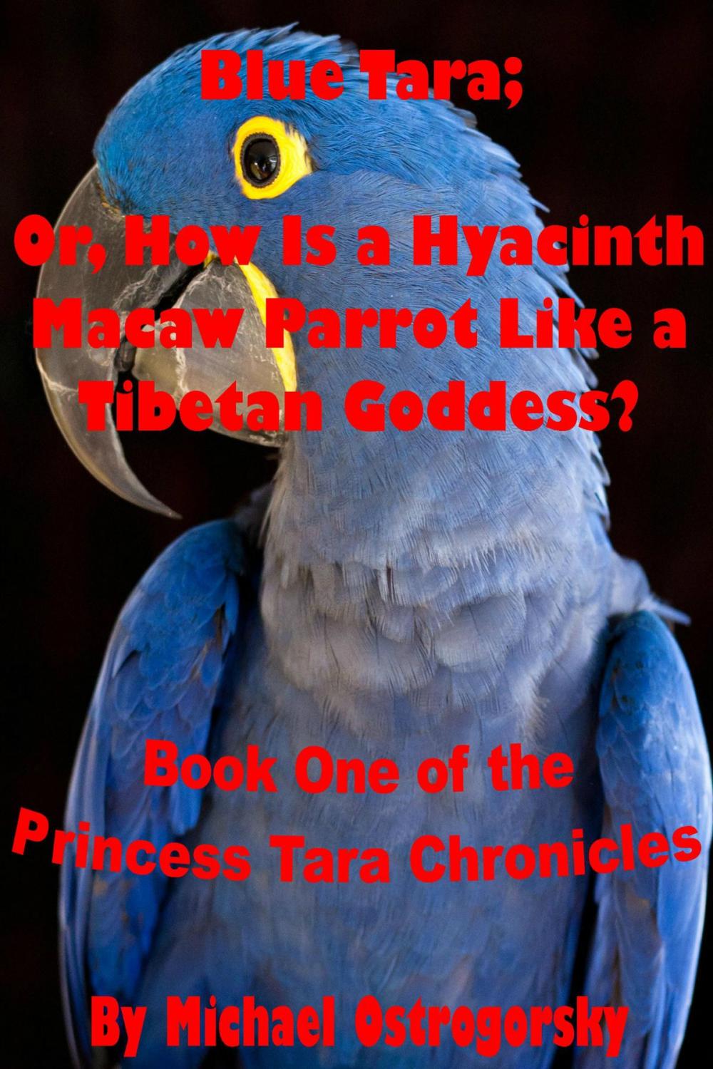 Big bigCover of Blue Tara; Or, How Is a Hyacinth Macaw Parrot Like a Tibetan Goddess?
