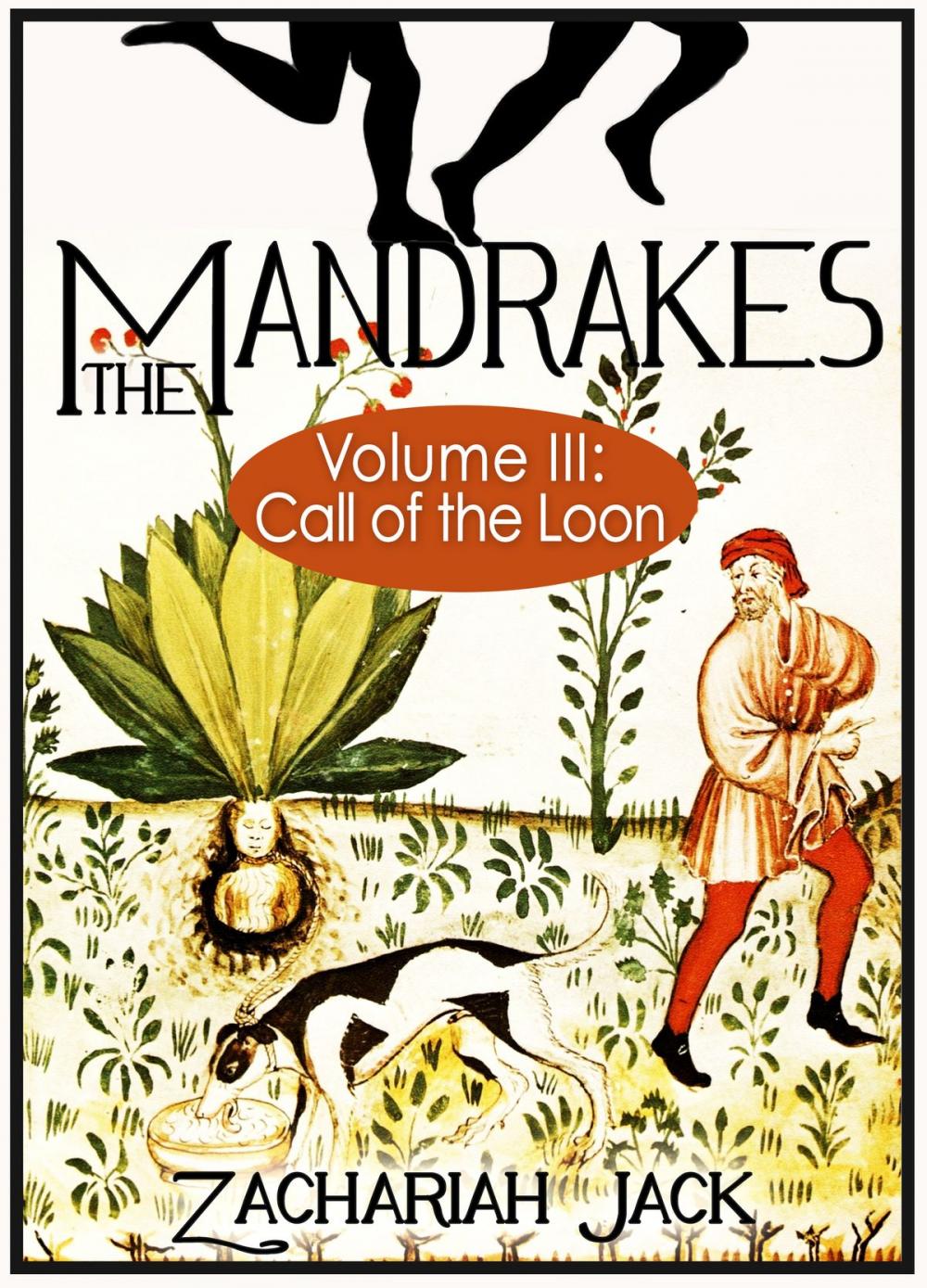 Big bigCover of The Mandrakes, Volume III: Call of the Loon