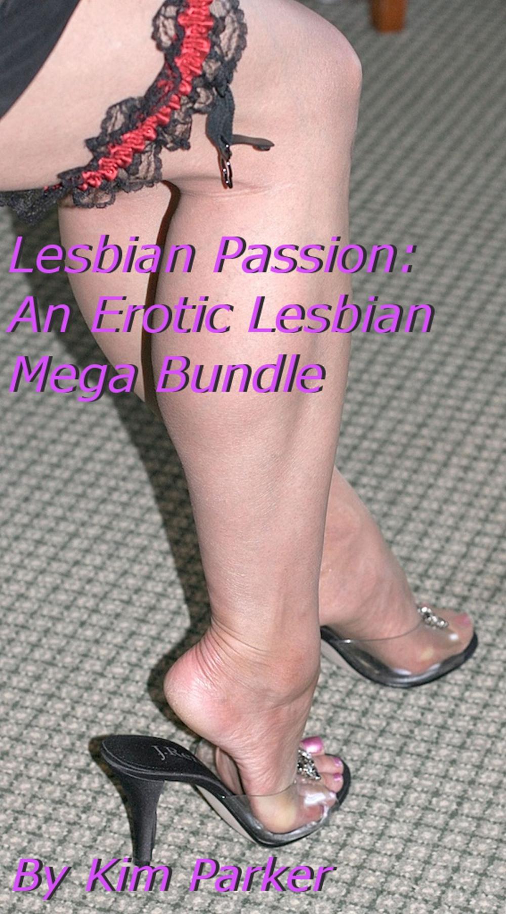 Big bigCover of Lesbian Passion: An Erotic Lesbian Mega Bundle