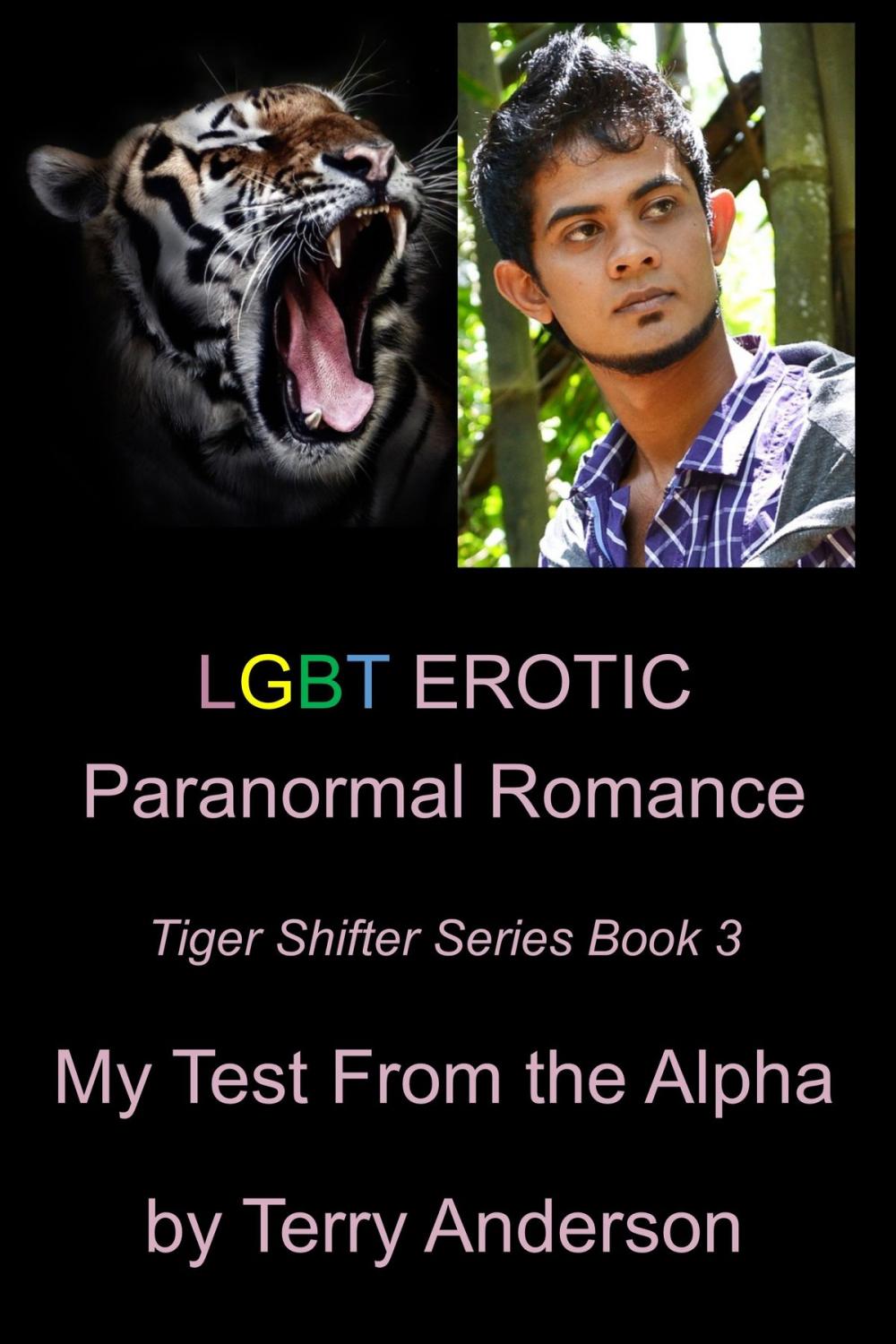 Big bigCover of LGBT Erotic Paranormal Romance My Test From The Alpha (Tiger Shifter Series Book 3)