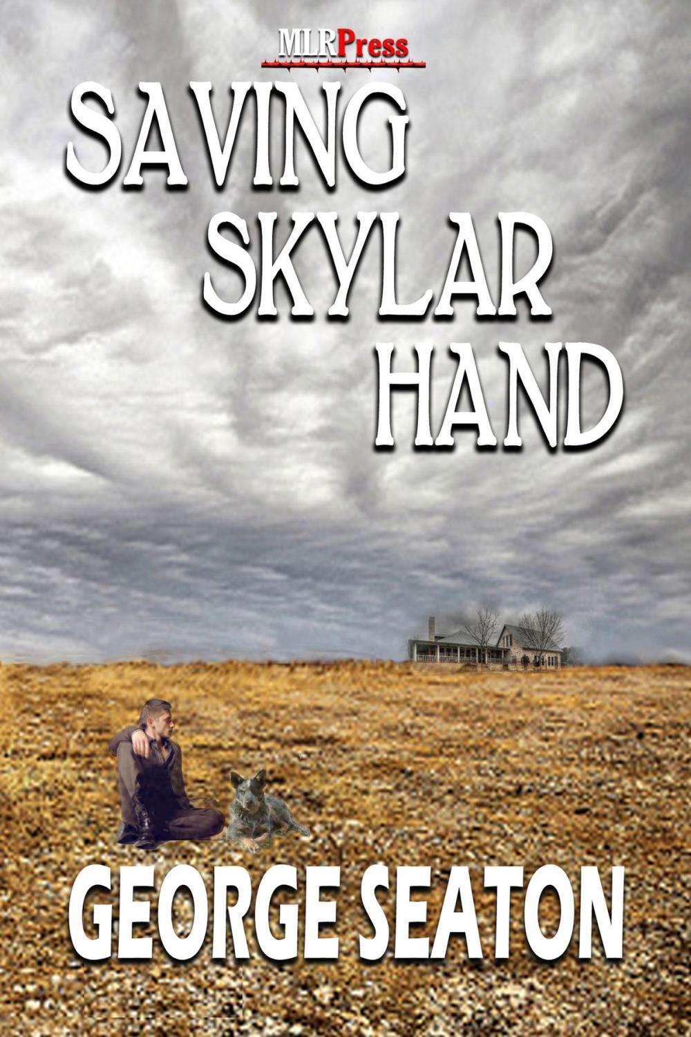 Big bigCover of Saving Skylar Hand