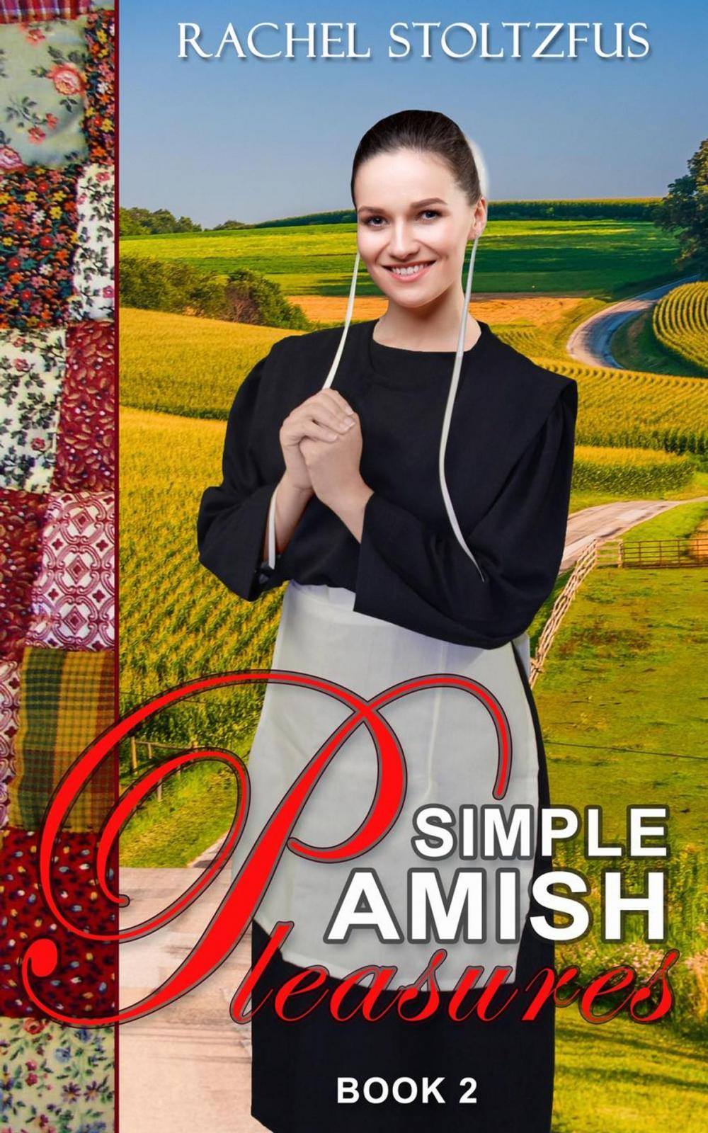 Big bigCover of Simple Amish Pleasures